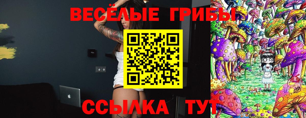 Галлюциногенные грибы GOLDEN TEACHER  Галлюциногенные грибы Psilocybe  Вход с VPN  Видное 
